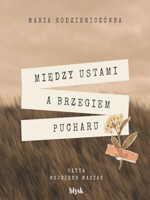 cover image of Między ustami a brzegiem pucharu